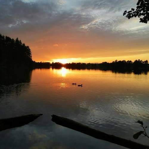 Photo #9488162