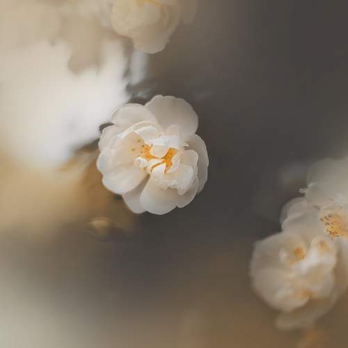 Фотография #9488462