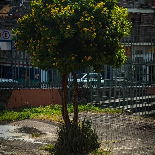 Photo #9488783