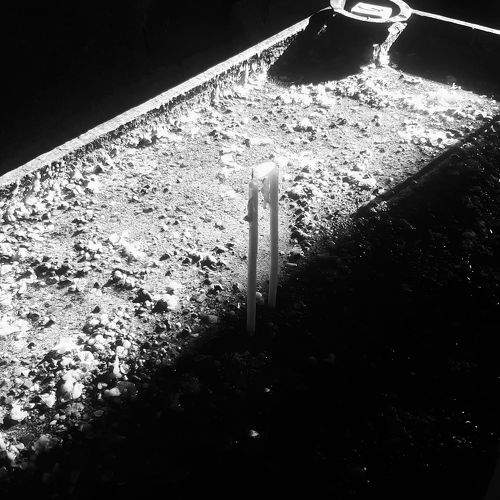 Photo #9488888