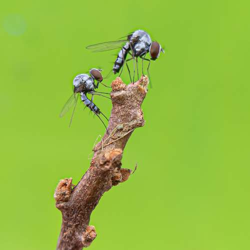 Photo #9488982