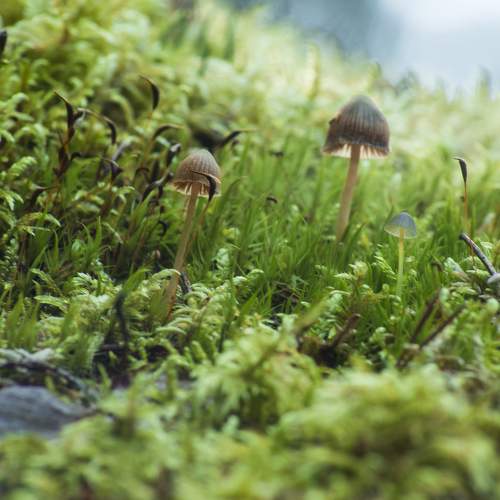 Photo #9489090