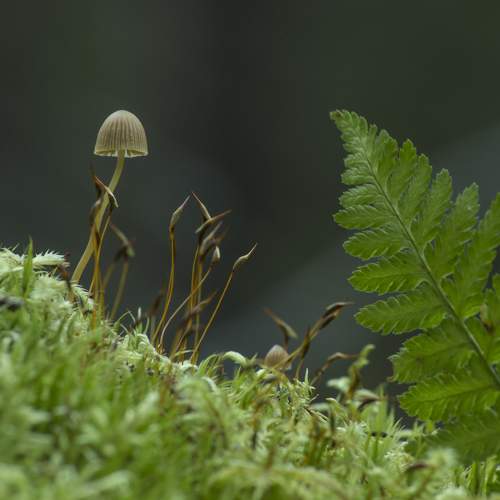 Photo #9489093