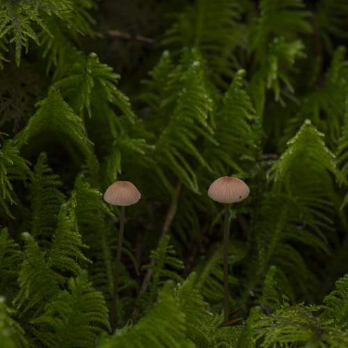 Photo #9489096