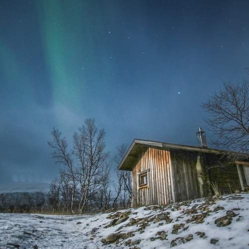 The wooden house