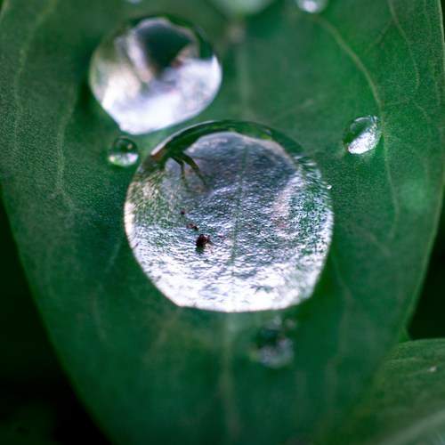 Photo #9489312