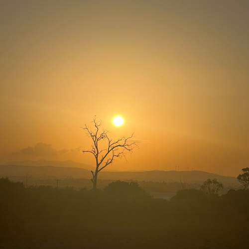 Photo #9489389