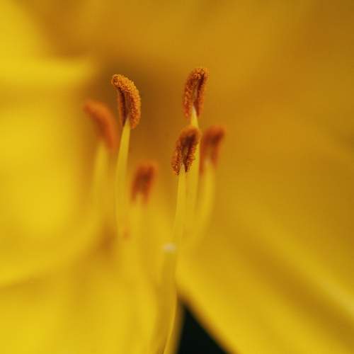 Photo #9489557