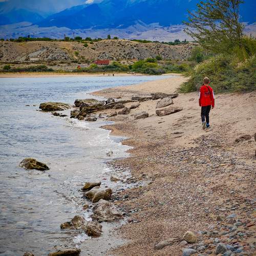 Photo #9489671