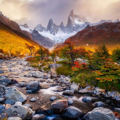 Photo #9490055
