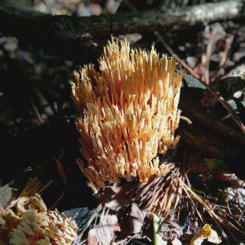Photo #9490072