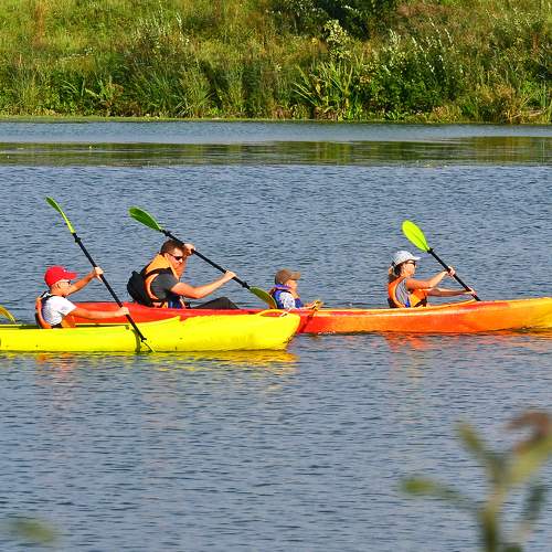 Photo #9490246