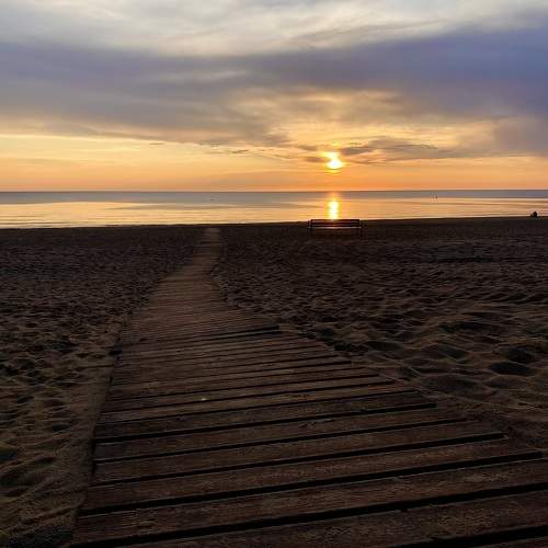 Photo #9490574