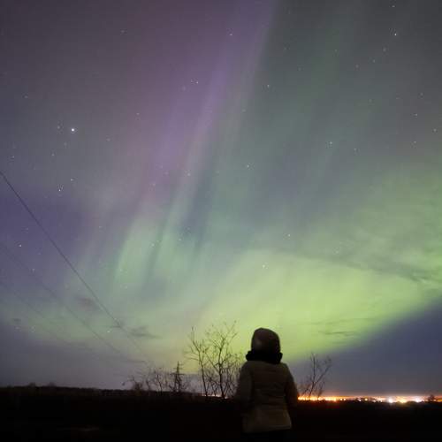 Photo #9490897