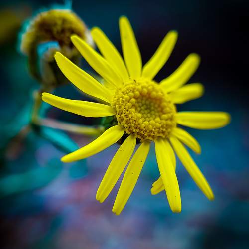 Photo #9490901