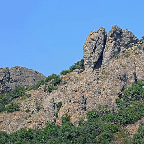 Photo #9490925