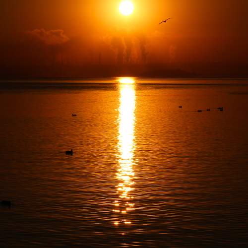Photo #9491376