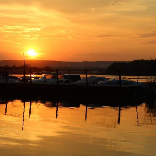Photo #9491386