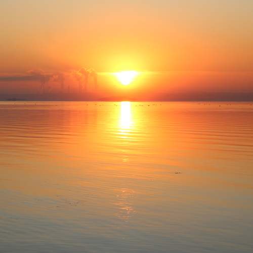 Photo #9491395