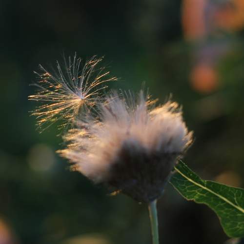 Photo #9491432