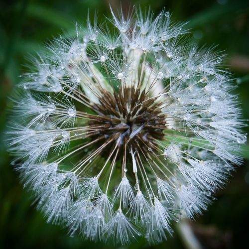 Photo #9491475