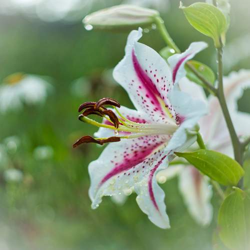 Photo #9491480