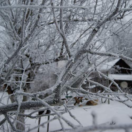 Photo #9491490