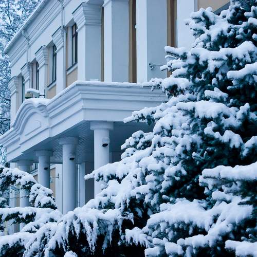 Photo #9491494