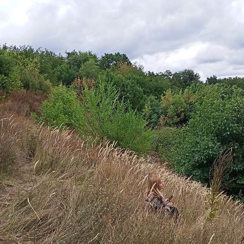 Photo #9491716