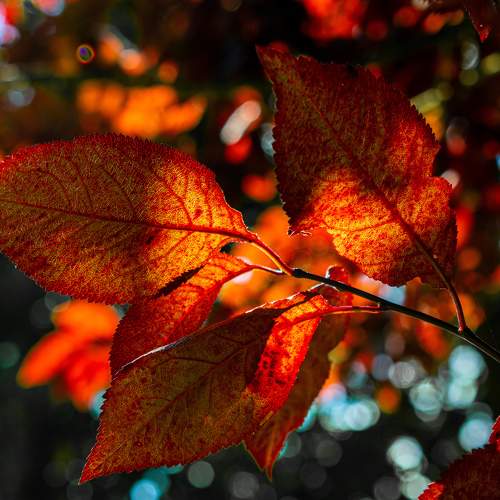 Photo #9492220