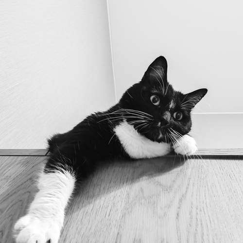 Photo #9492282