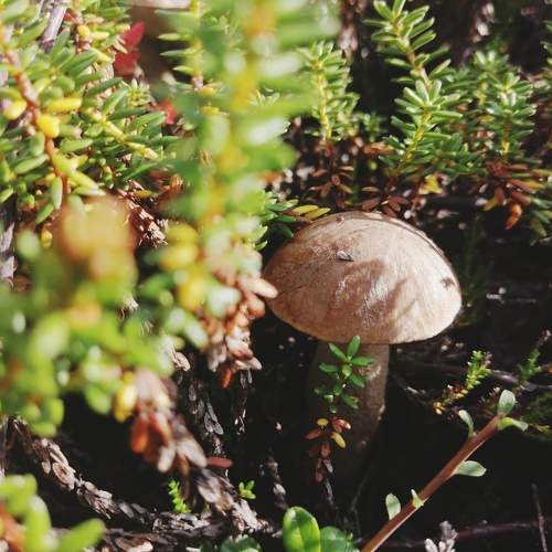 Photo #9492315