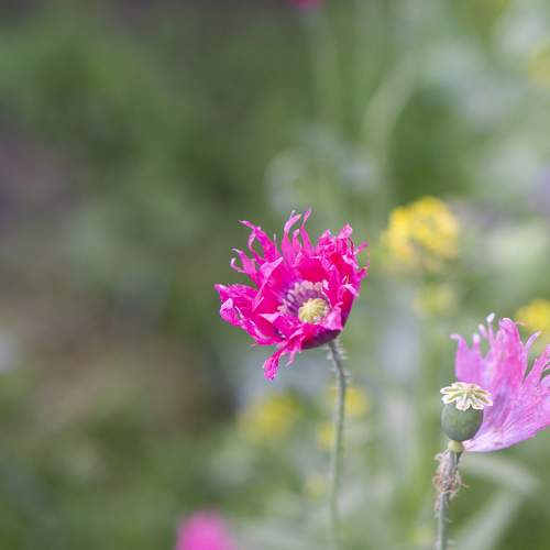 Photo #9492434