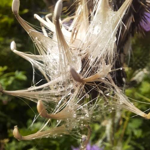 Photo #9492462