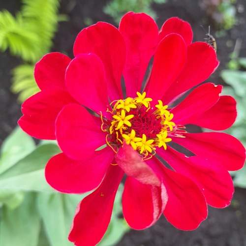 Photo #9492512