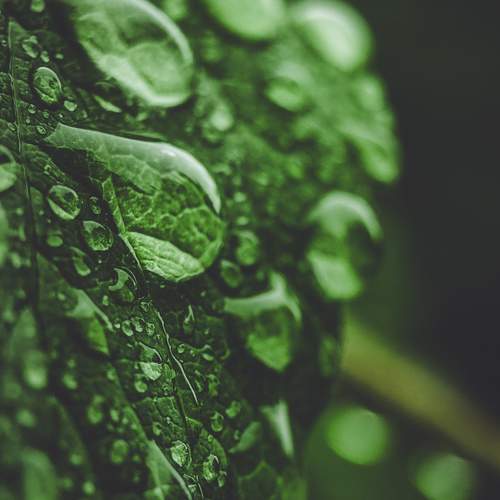 Photo #9492600
