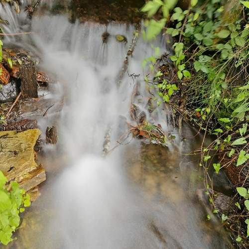 Photo #9492641