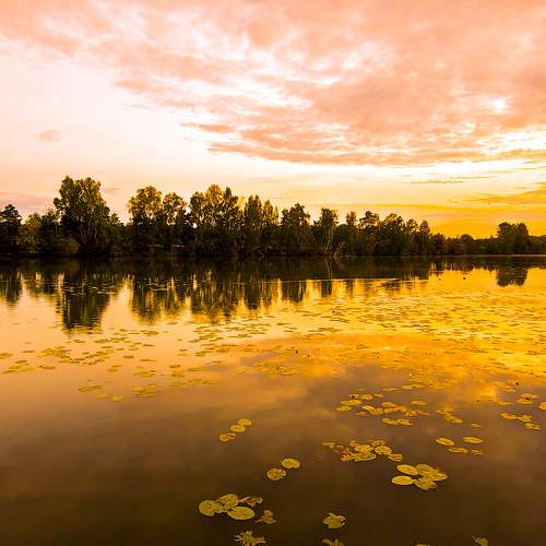 Photo #9492702