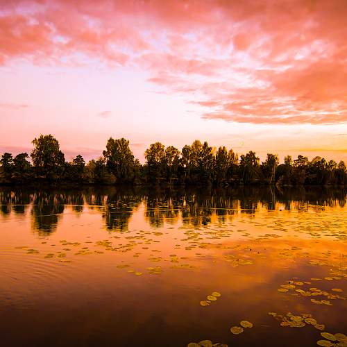 Photo #9492703