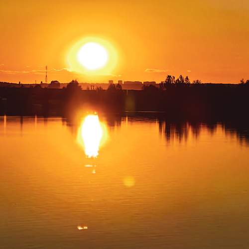Photo #9492722