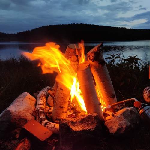 Photo #9492739