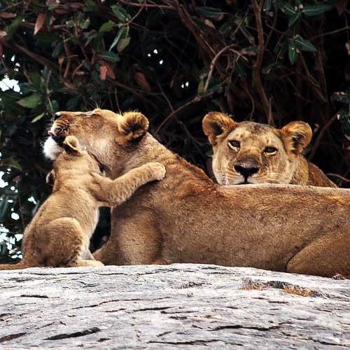 Photo #9492759