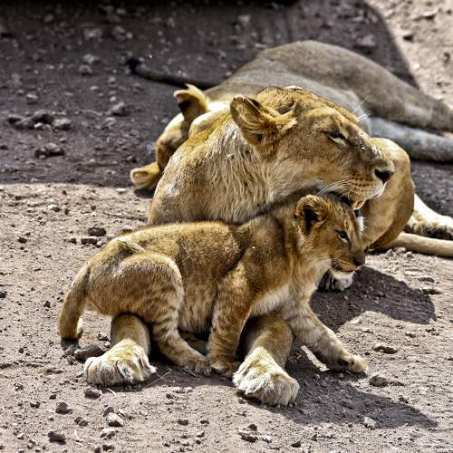 Photo #9492766