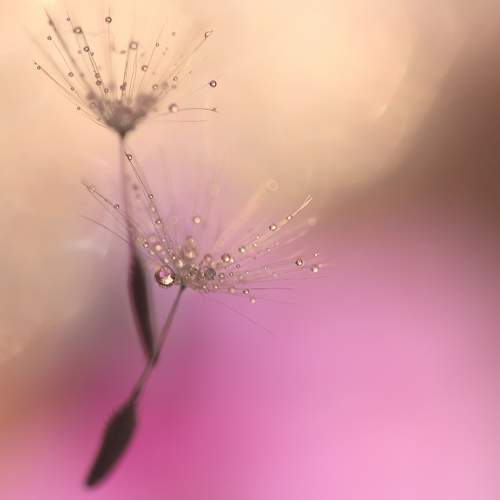 Photo #9492986
