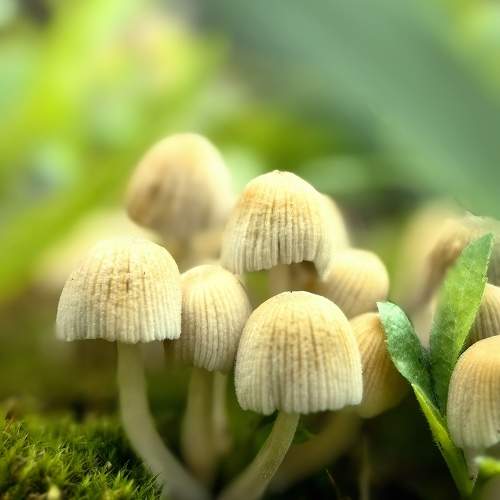 Photo #9493019