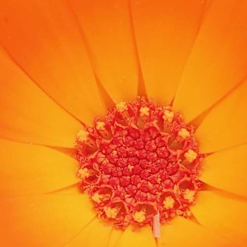 Photo #9493312