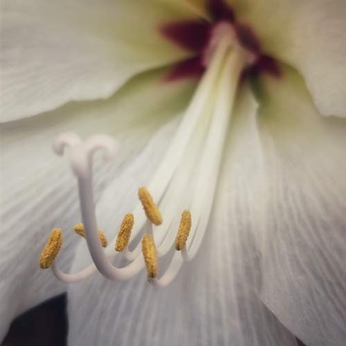 Photo #9493426