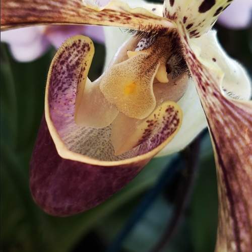 Photo #9493427