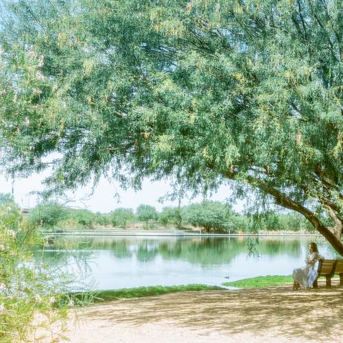 Photo #9493689
