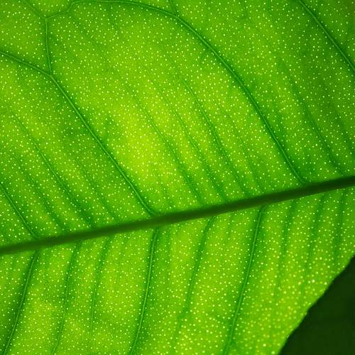 Photo #9493963